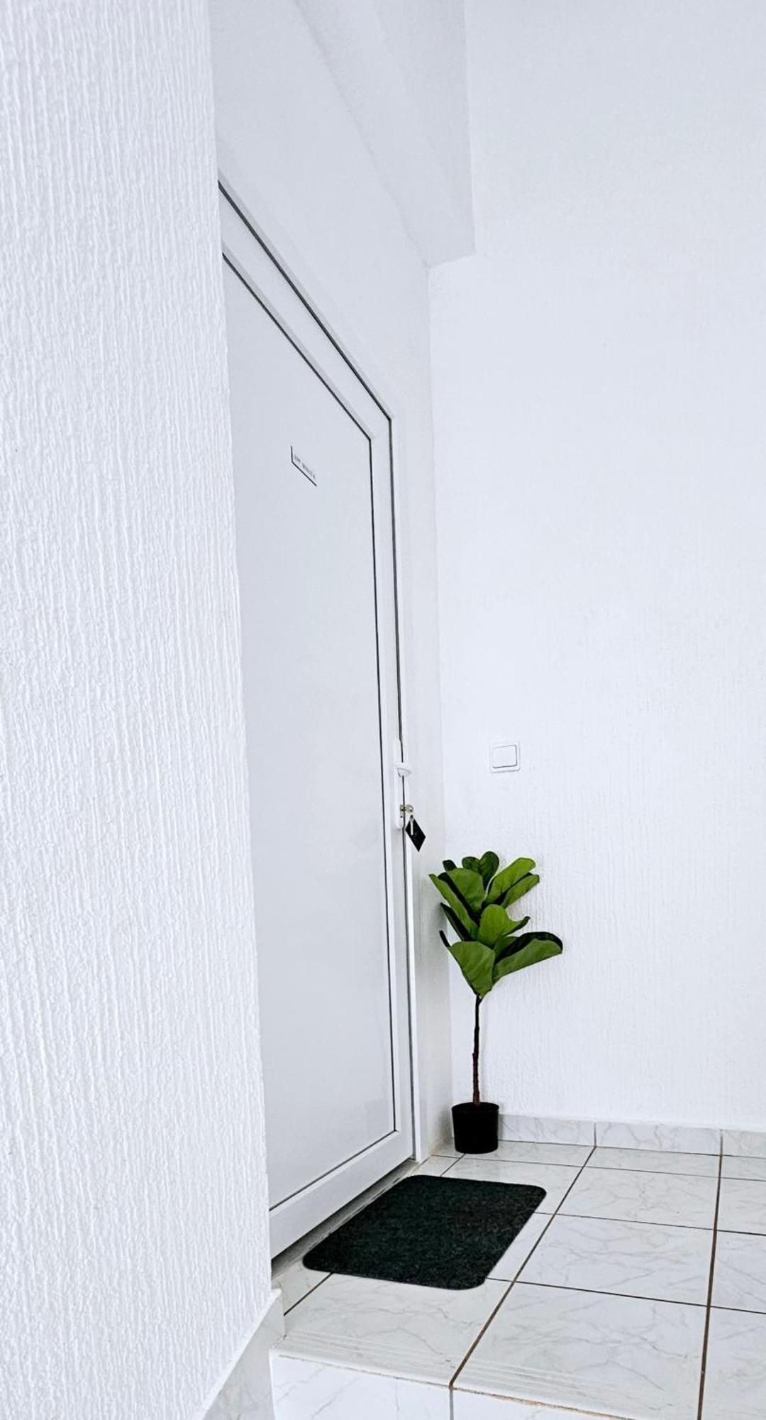 Ferienwohnung Kadenca Umag Exterior foto